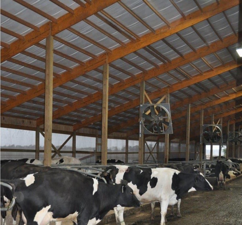 How to Ventilate an Animal Pole Barn to Ensure High Air Quality