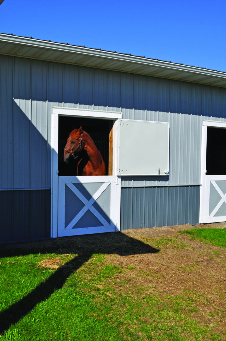 How Much Does it Cost to Build a Horse Barn?